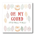 3dRose Oh My Gourd Its Fall Yall - Funny It is Autumn Y All... - Iron on Heat Transfers (ht-371839)